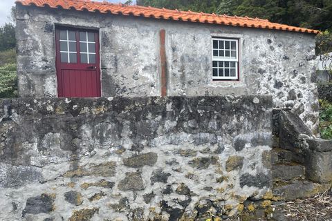 Ruinere i Lajes do Pico, Pico, Lajes do Pico - € 85.000 | Ref: 374240054 - foto 8